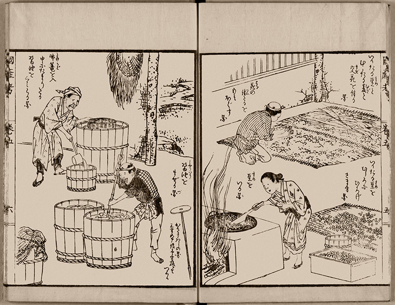 Two-page drawing shows people making soy sauce: kneeling over a mat covered in material, stirring ingredients over a fire, mixing liquid in a barrel and ladling liquid into a container.