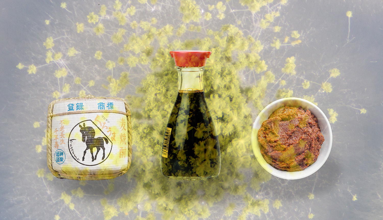 A barrel of sake, jar of soy sauce and bowl of miso paste against a background of fluffy, yellow-green Aspergillus mold.