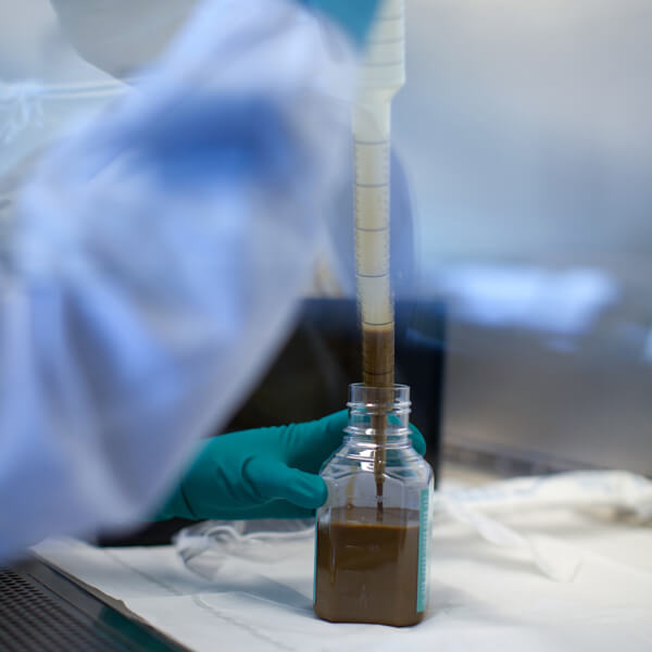 Photograph shows a lab technician pipetting a brown stool sample solution into a plastic container for storage in the stool bank.