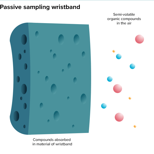 Illustration shows how molecules might be captured within the porous silicone of wristband samplers.