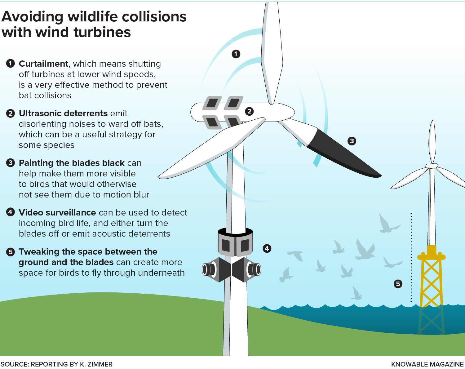 A graphic shows various ways to mitigate bat and bird deaths from wind turbines: curtailment, ultrasonic deterrents, painting the blades, video surveillance and tweaking the space between ground and blades.
