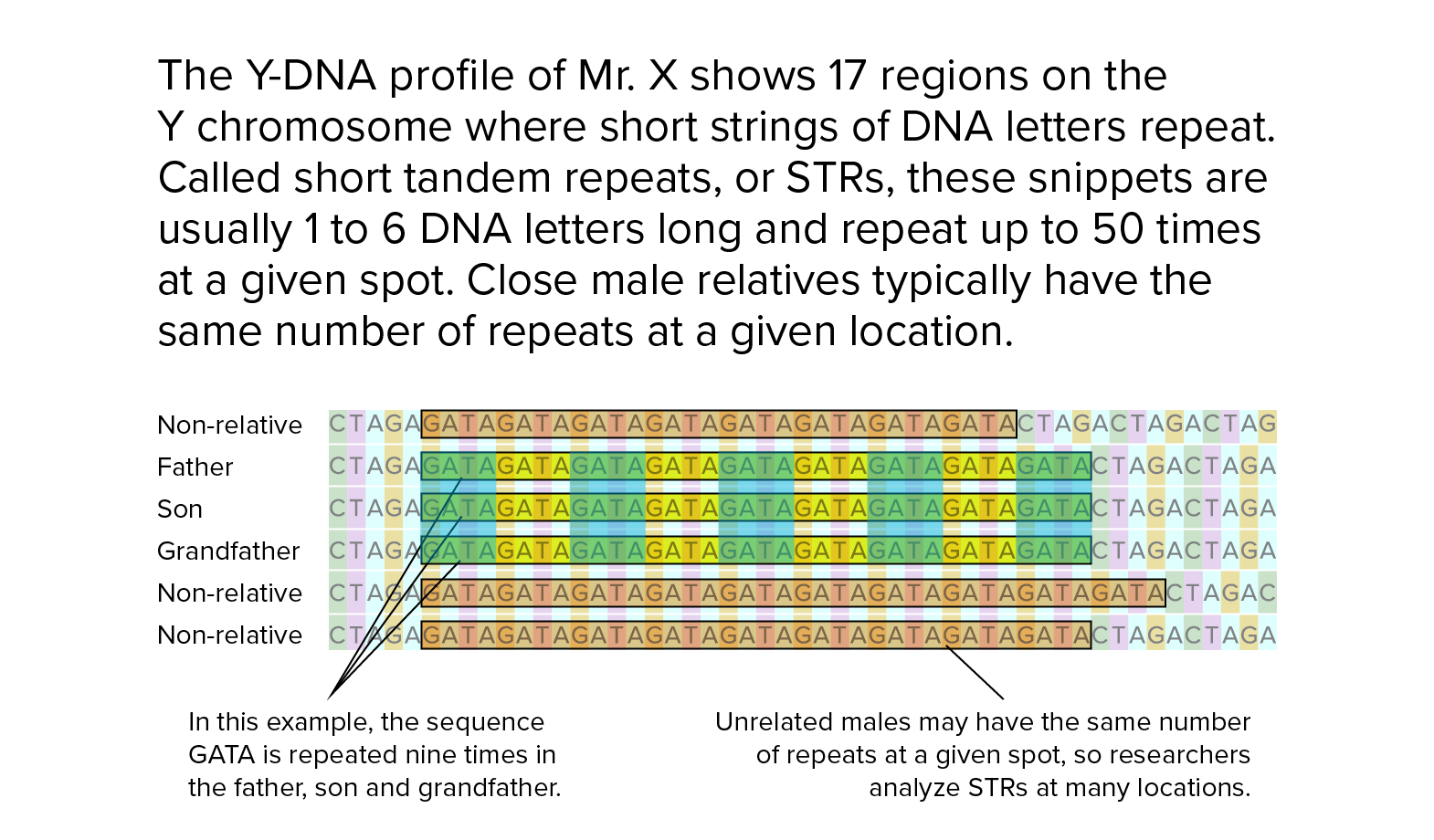 Genetics Extends The Long Arm Of The Law