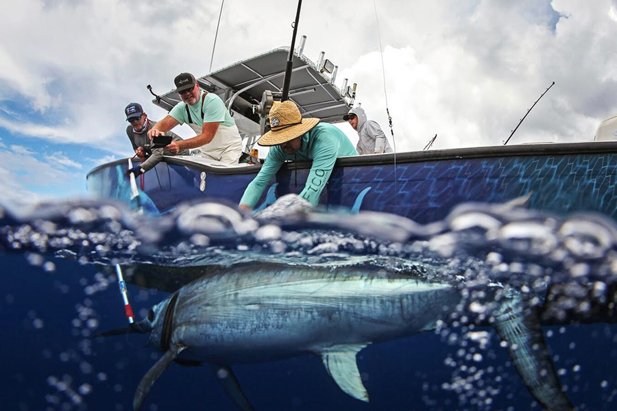Photograph of three people on a boat. One of them is leaning over the side having tagged a swordfish that is right next to the boat. The other two look on. The waters are choppy, there are clouds in the sky.