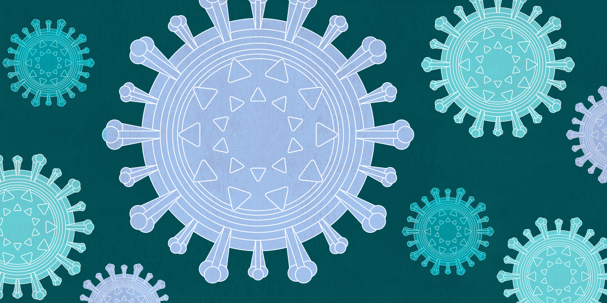 Mini-organs push along Covid-19 and other virus research