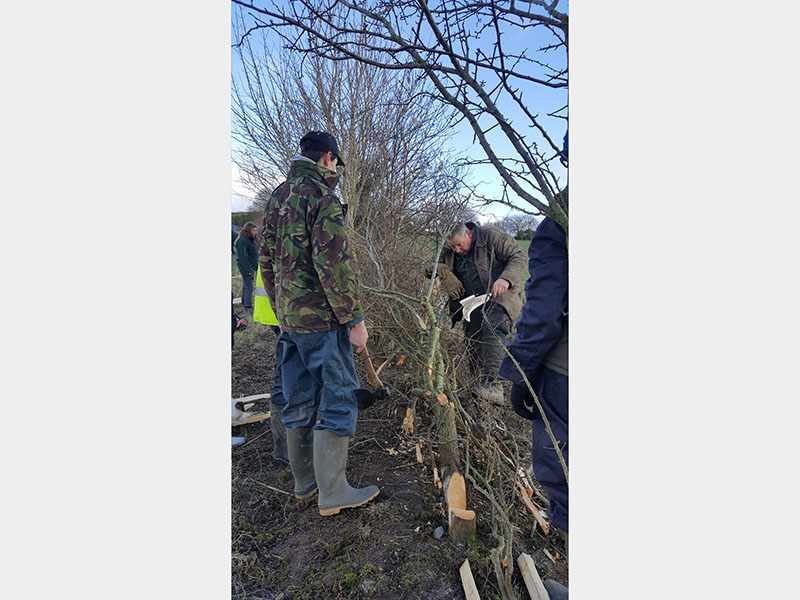 A man in a camo coat, baggy pants and rubber boots holds an axe and watches as an older man in green workwear chops the branches of a hedgerow.