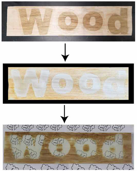 Trois panneaux montrent le mot « bois » écrit sur du bois ordinaire, du bois blanchi et du bois transparent.