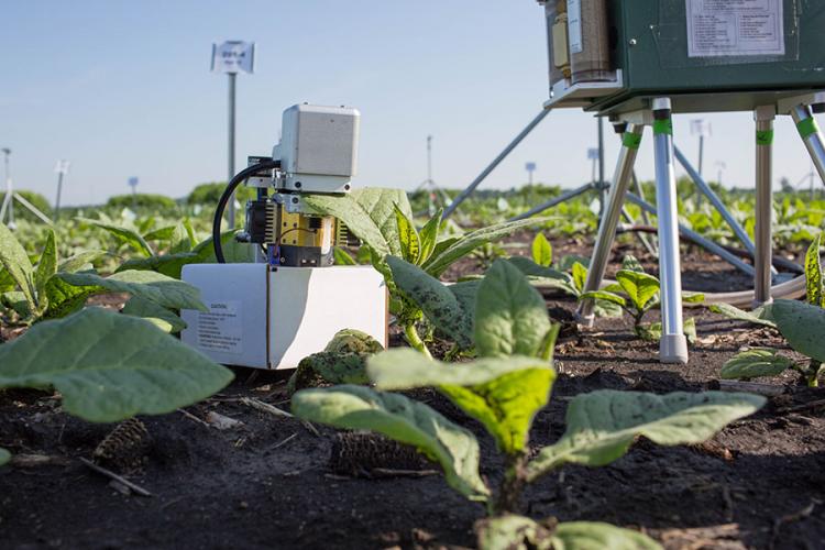 The photosynthesis fix