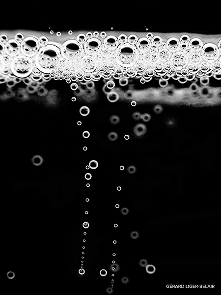 Black and white photograph of champagne bubbles.