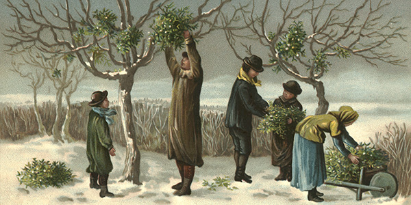 Old-fashioned Christmas-card painting of people wrapped up warmly cutting mistletoe from trees in snowy weather.