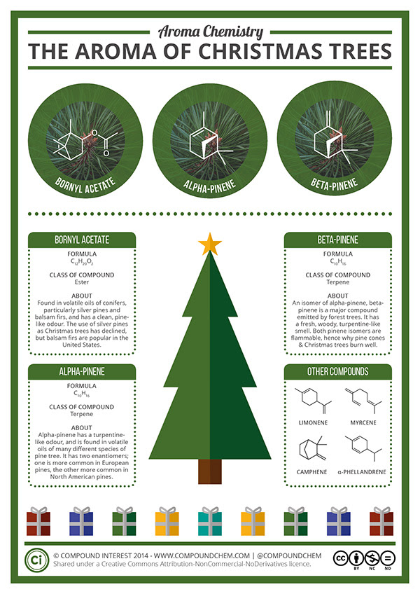 Aroma of Christmas trees graphic