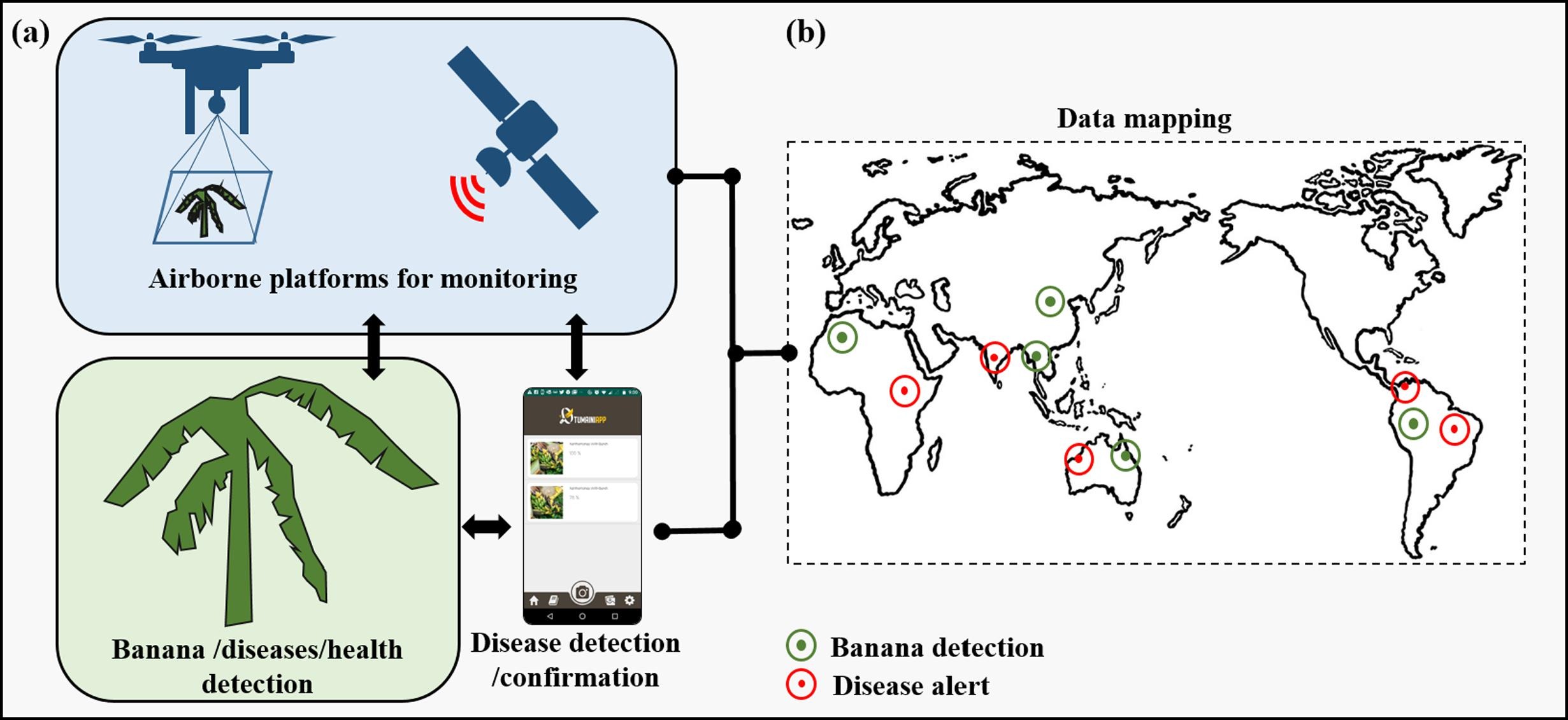 Graphic shows AI-powered disease-monitoring system.