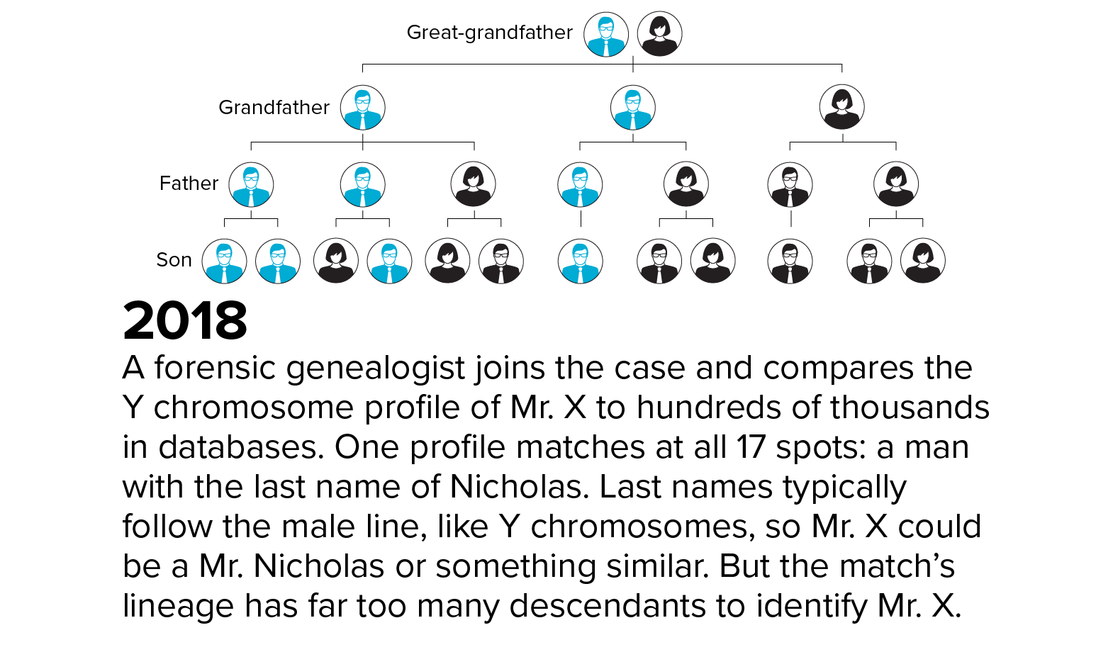 2018: A forensic genealogist joins the case and compares the Y chromosome profile of Mr. X to hundreds of thousands in databases. One profile matches at all 17 spots: a man with the last name of Nicholas. Last names typically follow the male line, like Y chromosomes, so Mr. X could be a Mr. Nicholas or something similar. But the match’s lineage has far too many descendants to identify Mr. X.