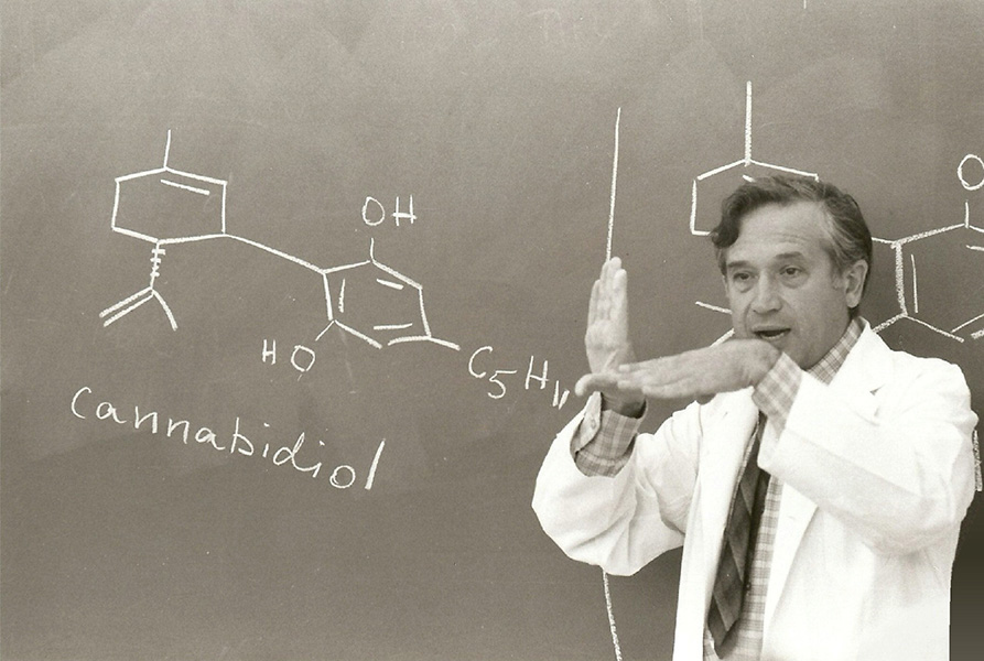 Historical photo of Raphael Mechoulam speaking in a white lab coat in front of a chalkboard with the chemical structure of cannabidiol.