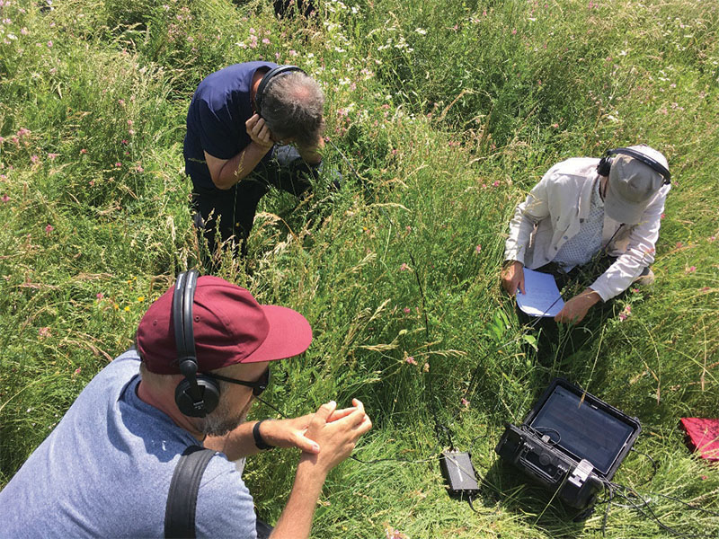 A photograph of three scientists crouched down in a grassy field. One of them is taking notes on a clipboard. There is recording equipment on the grass.