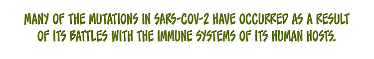 Text: Many of the mutations in SARS-CoV-2 have occurred as a result of its battles with the immune systems of its human hosts. 