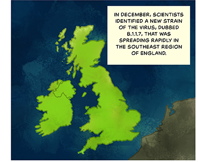 Illustration: The United Kingdom on a map. Text: In December, scientists identified a new strain of the virus, dubbed B.1.1.7, that was spreading rapidly in the southeast region of England. 