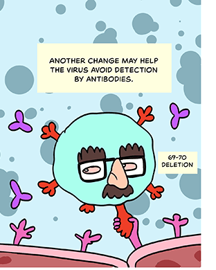 Illustration: A cartoon 69-70 deletion strain coronavirus with disguise glasses & mustache shaking hands with a cell. Caption: Another change may help the virus avoid detection by antibodies. 