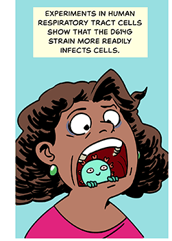 Illustration of a nervous-looking woman with a SARS-CoV-2 peeking out of her open mouth. Text: Experiments in human respiratory tract cells show that the D614G strain more readily infects cells 