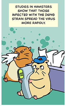 Comic-style illustration of a blue-hatted hamster sitting in front of a giant tissue box and checking its temperature. Another hamster blows its nose behind him. Text: Studies in hamsters show that those infected with D614G spread the virus more rapidly 