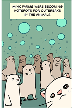 Comic style illustration: A gathering of sick mink. Caption at the top: Mink farms were becoming hotspots for outbreaks in the animals