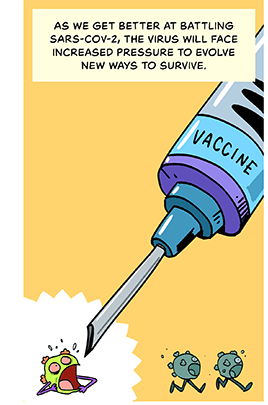 Comic-style illustration of a giant vaccine pointed at a scared coronavirus. Two other coronaviruses run away in the background. Caption: As we get better at battling SARS-CoV-2, the virus will face increased pressure to evolve new ways to survive.