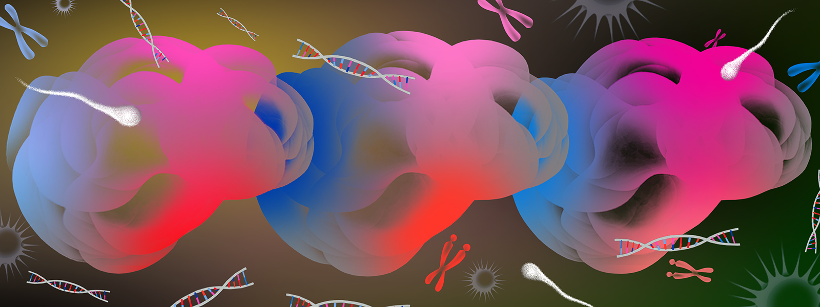 knowablemagazine.org image