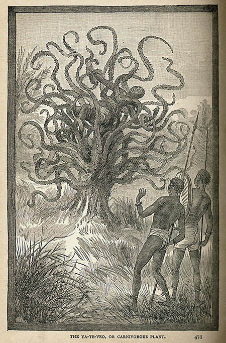 Vintage book illustration depicting a huge plant with many tentacle-like limbs. Some of them are twined around a human captured by the plant. Two people holding spears recoil in horror.