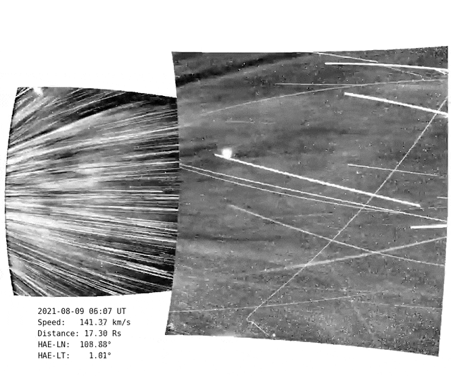 Black-and-white footage shows coronal streamers within the Sun’s corona. The footage shows white structures quickly moving up and down on a gray celestial background.