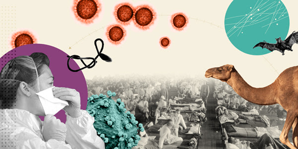 Collage showing viruses, historical photo of patients in hospital beds, photo of a woman wearing a mask and a bat, rabbit, mouse and camel.