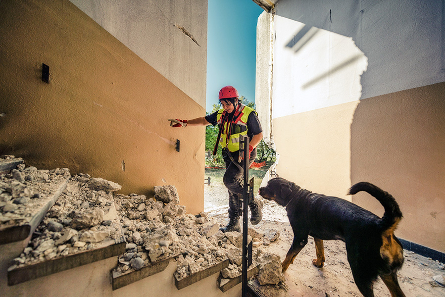 A rescue dog and its handler stand at the foot of a staircase in a damaged building.