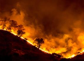 Firenadoes and drifting embers: The secrets of extreme wildfires
