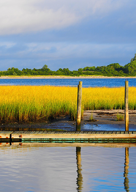 Photograph of a salt marsh shows a wooden dock, reeds and water.