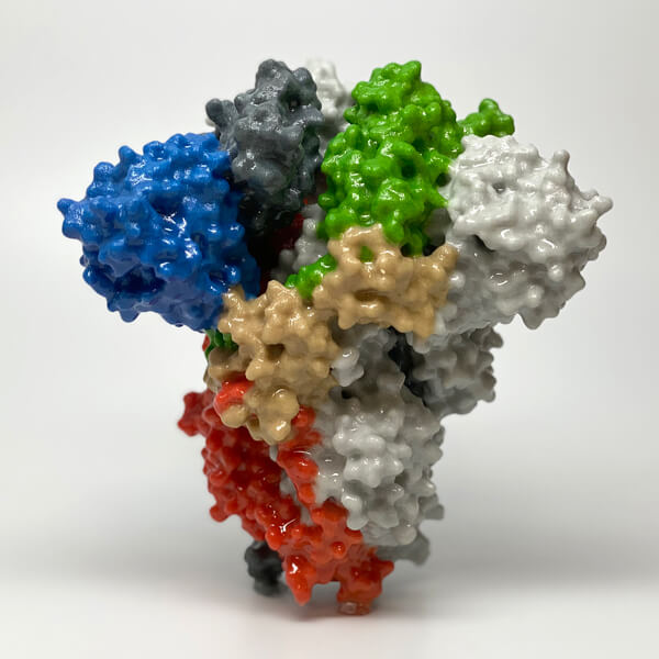 A multicolored model of the coronavirus spike protein, showing head and stem structures.