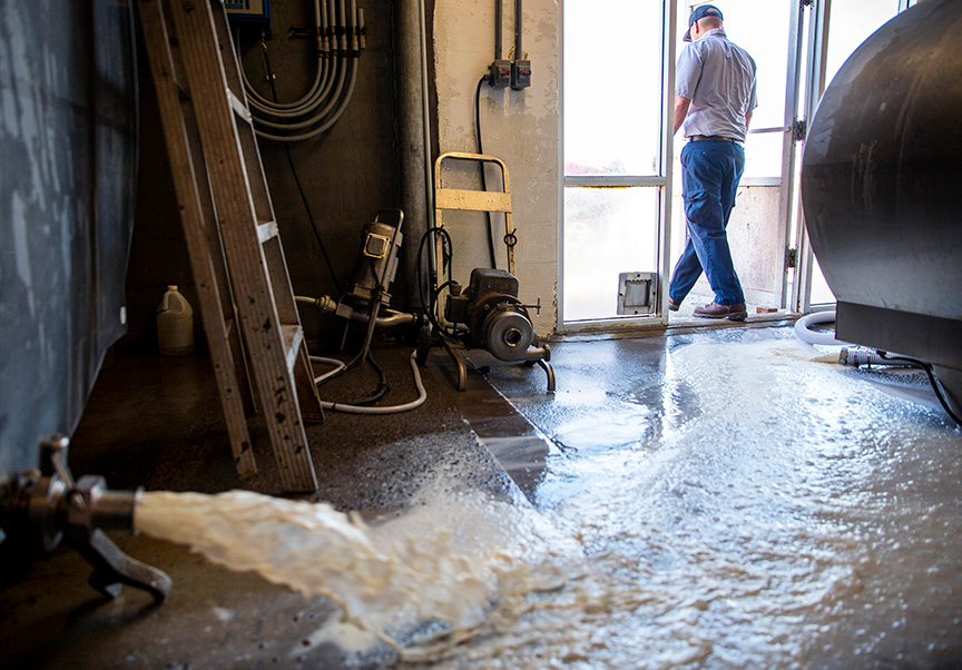 A dairy farmer in Idaho dumping milk he is unable to sell during Covid-19 lockdowns