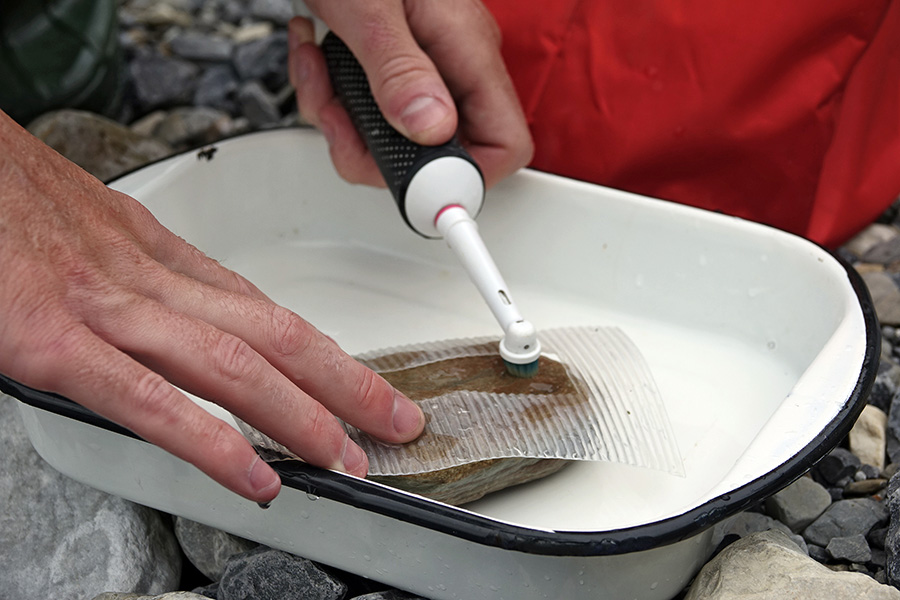 Photograph shows a close-up of a tin in which is placed a rock covered with a rectangular piece of plastic. Above it, hands are manipulating a toothbrush to remove algae from the rock.