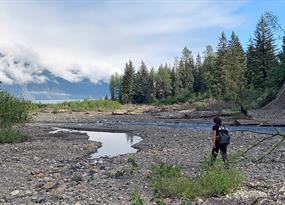 As glaciers retreat, new streams for salmon
