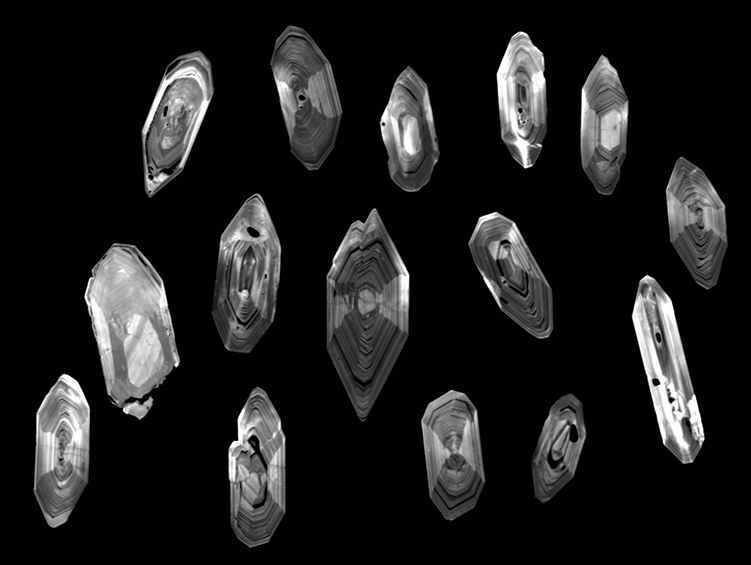 Photo of 15 zircon crystals with visible “growth rings” lined up on a black background.