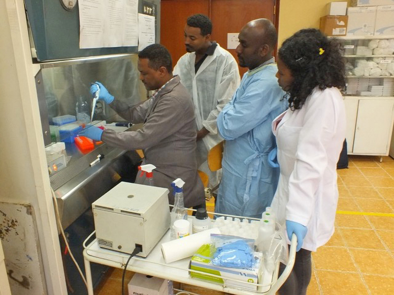 A scientist in laboratory holds a pipette in a ventilated hood. As he transfers material, three other people look on. All are wearing lab coats.