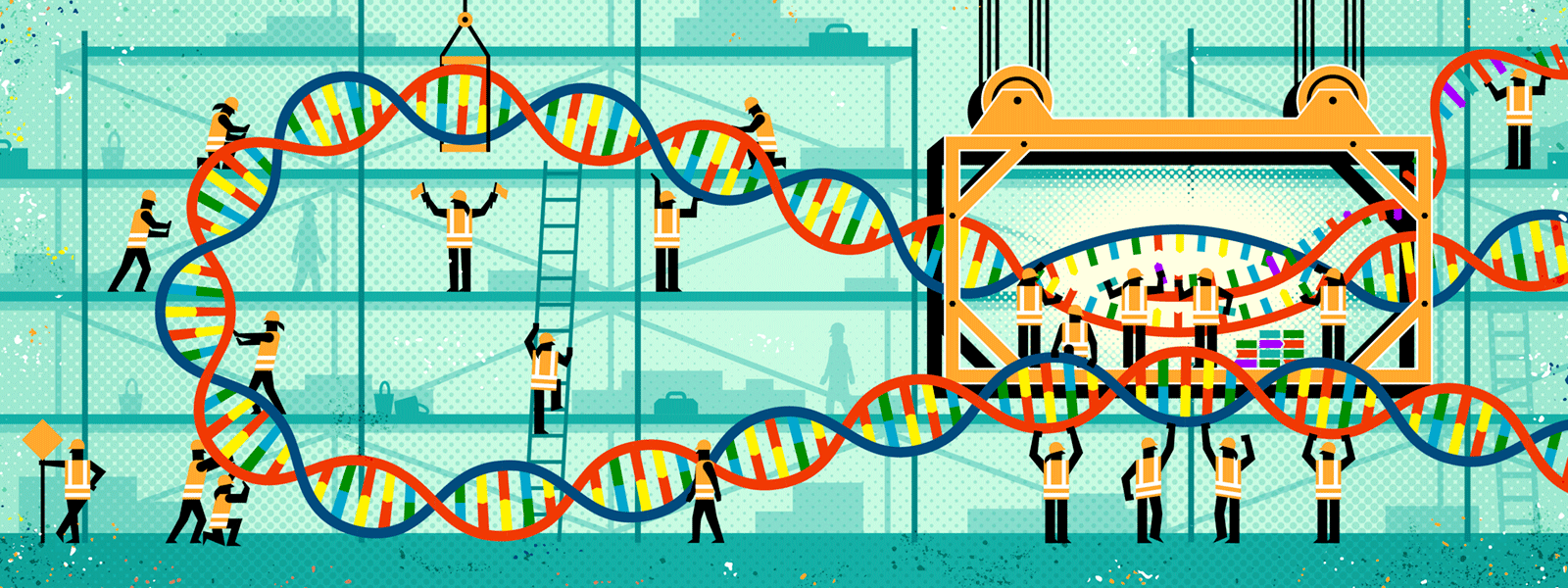 What does it look like to “turn on” a gene? | Knowable Magazine