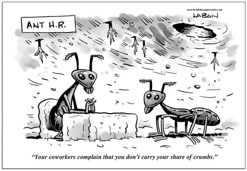 A cartoon in which an ant is getting its performance review in a subterranean nest with plant roots poking through the ceiling and a tunnel leading off somewhere. The ant conducting the appraisal sits at a desk under a sign that reads “Ant H.R.,” and is saying to the subordinate: “Your coworkers complain that you don’t carry your share of crumbs.”