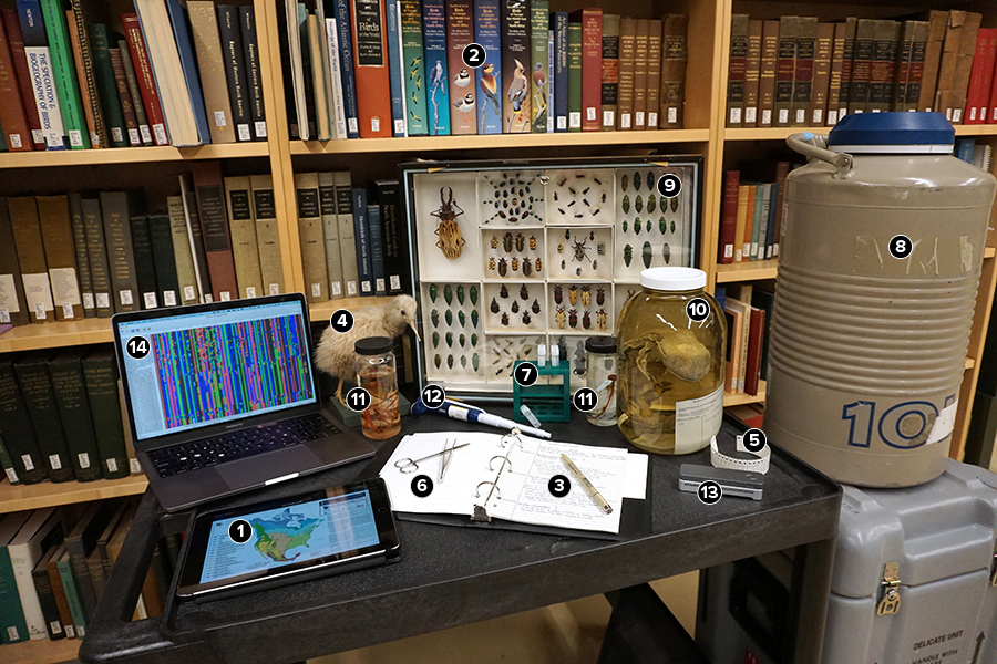 A photo showing museum scientists’ tools: computer, various types of specimens, dissecting equipment, a bottle of liquid nitrogen, and a shelf full of books.