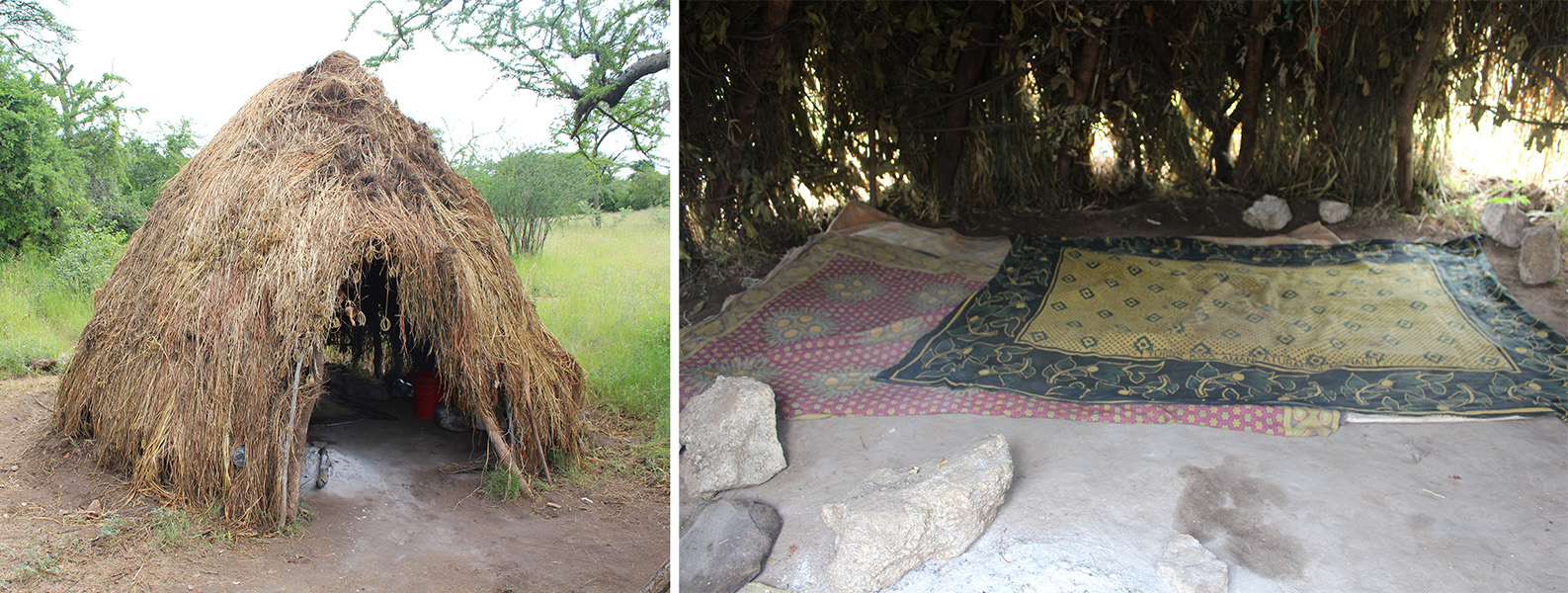 One photo shows a grass hut with an open doorway; the other shows a few rugs on the ground under the shade of a large tree.