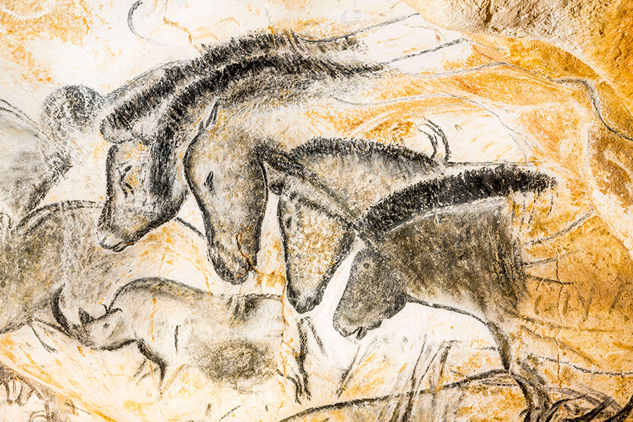 Black line drawing of four horses from the neck up on a yellow cave wall.