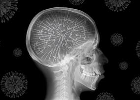 Covid and the brain: A neurological health crisis