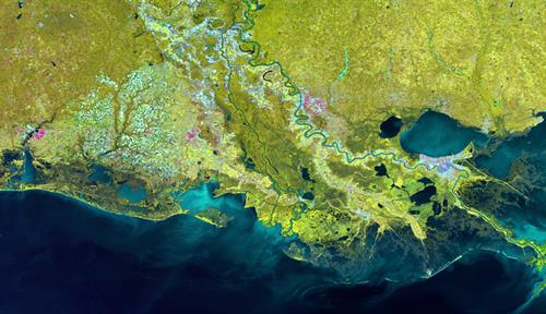 Satellite image of delta of the Mississippi River. You can see the river snaking to the Gulf of Mexico. The gulf’s waters are colored shades of dark and light blue. Land around the delta is in many hues of yellow, mustard, brown, blue and pink.