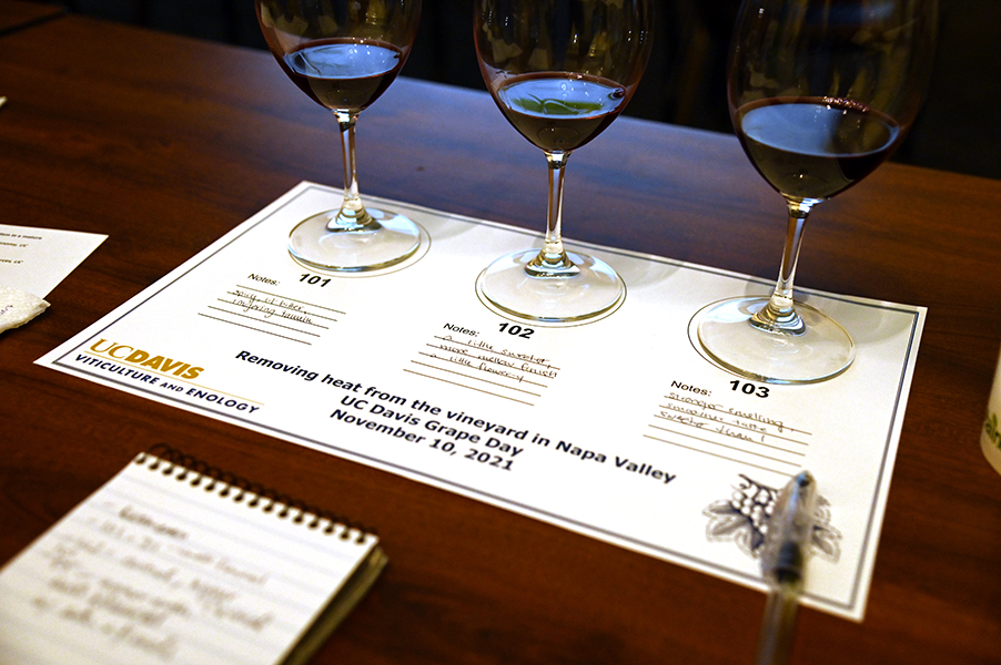 Photograph of three classes of red wine numbered 101, 102 and 103. They are on a mat that says “Removing heat from the vineyard in Napa Valley, UC Davis Grape Day, November 10, 2021.”