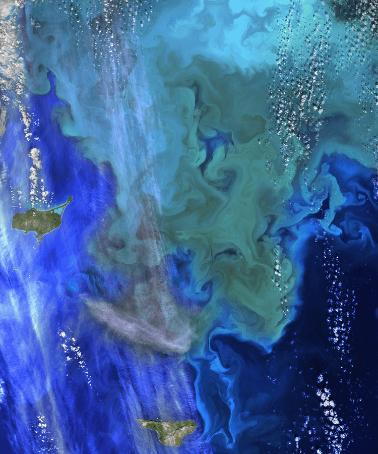 Satellite image of Bering sea with a huge swirly patch of blue-green water that is a coccolithophore bloom.
