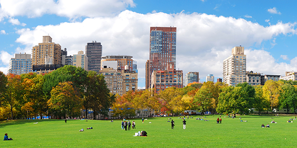 Panoramic photo shows a green lawn in Central Park, with park-goers, trees and the city skyline visible. 