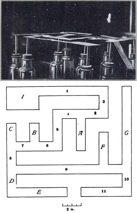 Image of a maze for cockroaches designed by Charles Turner. Top shows a photo of the construction; the bottom shows a line drawing of the maze path.