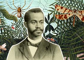 Charles Henry Turner’s insights into animal behavior were a century ahead of their time